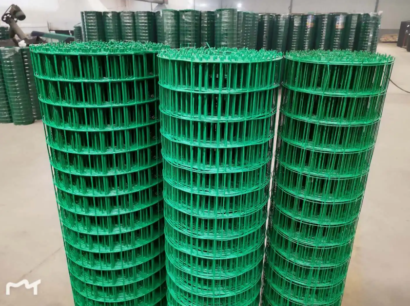 开阳荷兰网